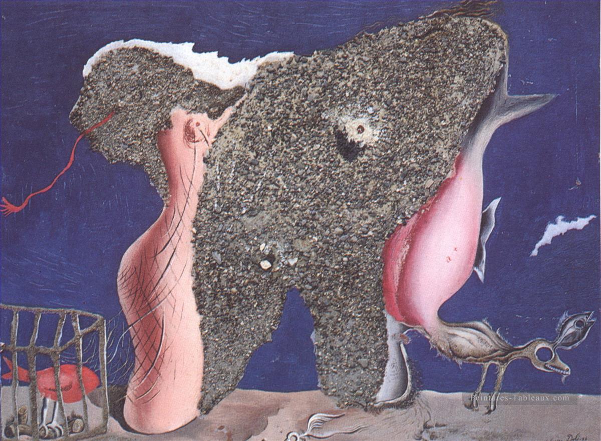 Mujer Simbiótica Animal Salvador Dali Pintura al óleo